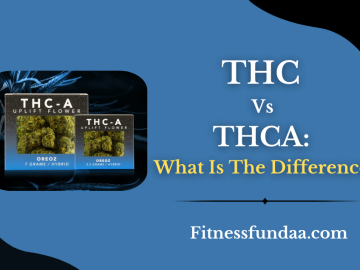 THC Vs THCA: What Is The Difference?
